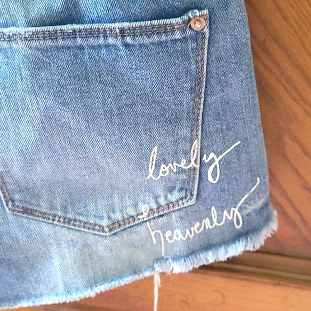 Zara Embroidered Distress/Destroy Denim Shorts
